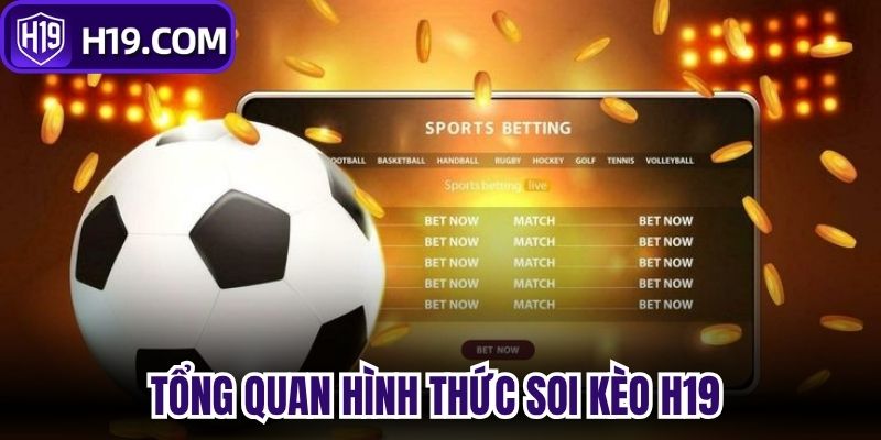 Tổng quan hình thức Soi kèo H19 